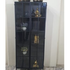 ויטרינה 2 דלתות JOY