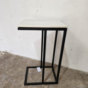 נשכן דגם אבן