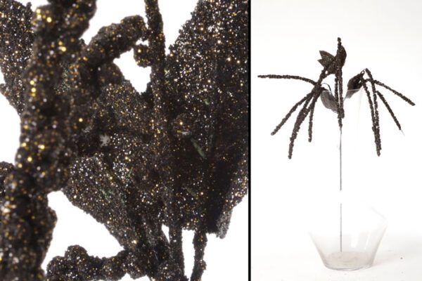 199621.jpg 199621.jpg