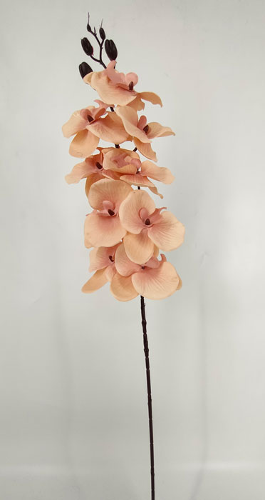 205734.jpg 205734.jpg