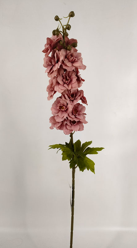 205745.jpg 205745.jpg