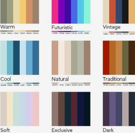 איך ניצור פלטת צבעים חזקה לקולקציה שלנו?